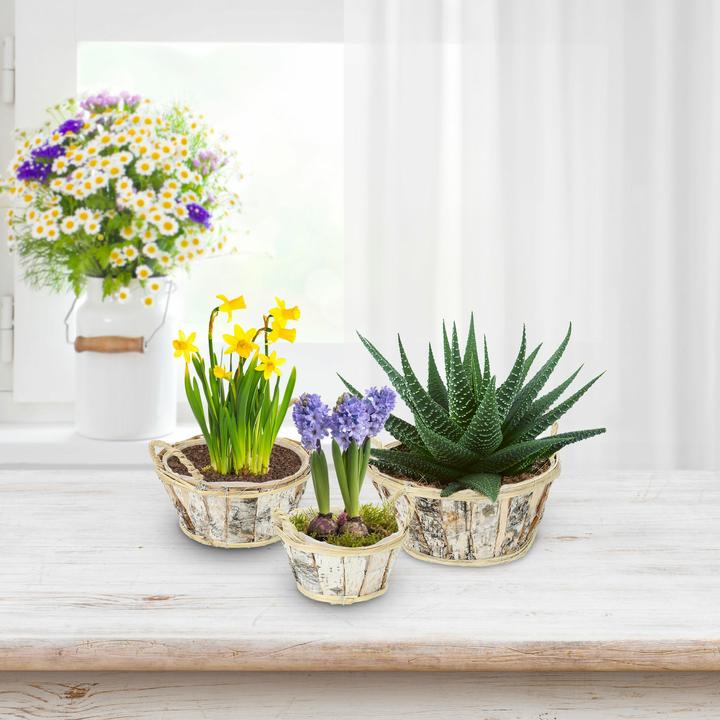 Actual product image Relaxdays Balkonklapptisch (70 cm)