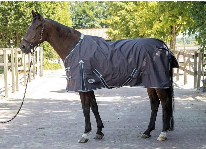 Immagine prodotto Harry's Horse Thor (185 cm)