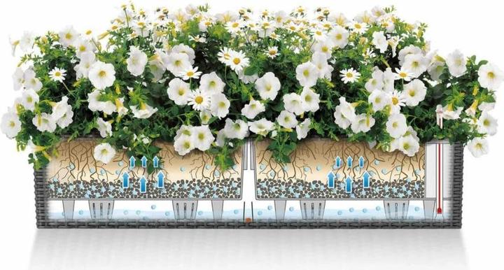 Image du produit Lechuza Chalet Balconera (19 cm)