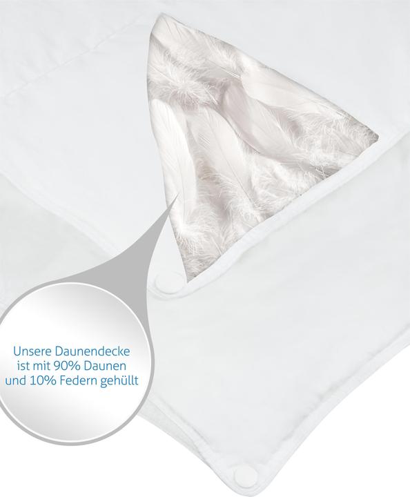 Actual product image Aspero Sommer Daunendecke Ystad (310 g, 155 x 220 cm)