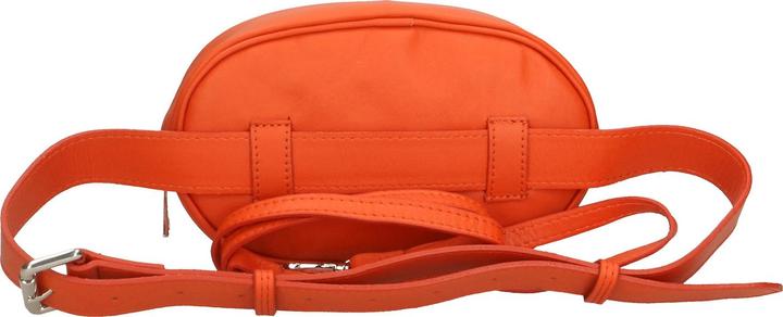 Actual product image Gave Lux pouch bag