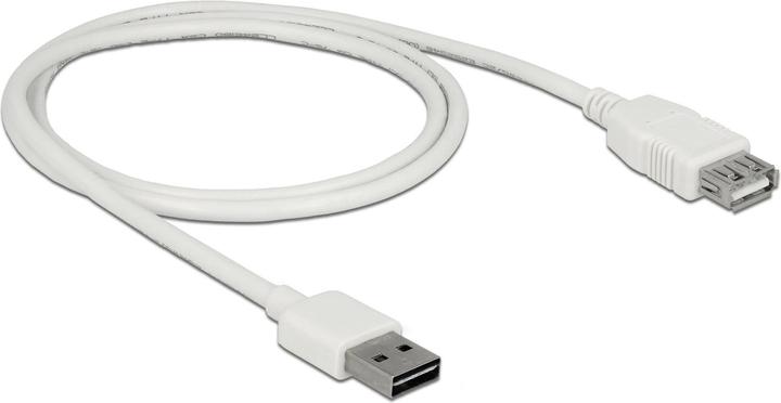 Actual product image Delock USB2.0 extension cable Easy, 1m, white (1 m, USB 2.0)
