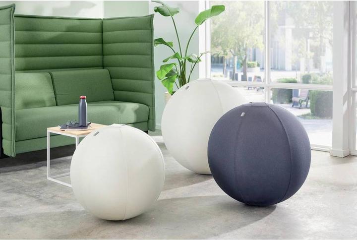 Immagine prodotto Leitz Sedile Ball Active Ø 65cm grigio chiaro (65 cm)