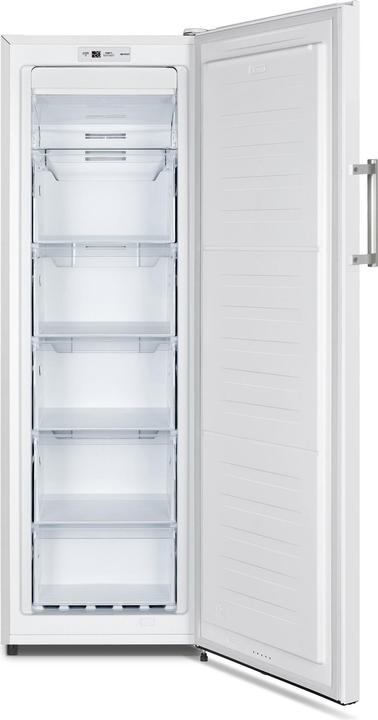 Image du produit Sibir GSN 20024 (Autonome, 194 l)