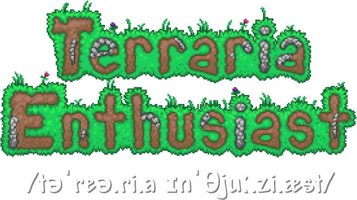 Immagine prodotto Terraria Enthusiast Maglietta Adulto Unisex (XL)