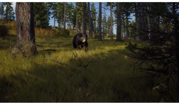 Produktbild THQ Way of the Hunter (PC, EN)