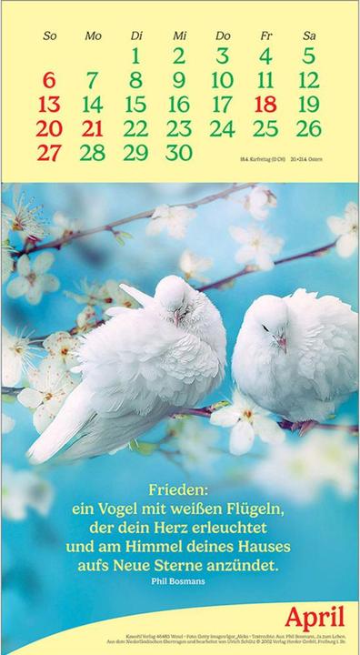 Produktbild Bosmans:Vitamine fürs Herz 2025 (Harter Einband, Deutsch)