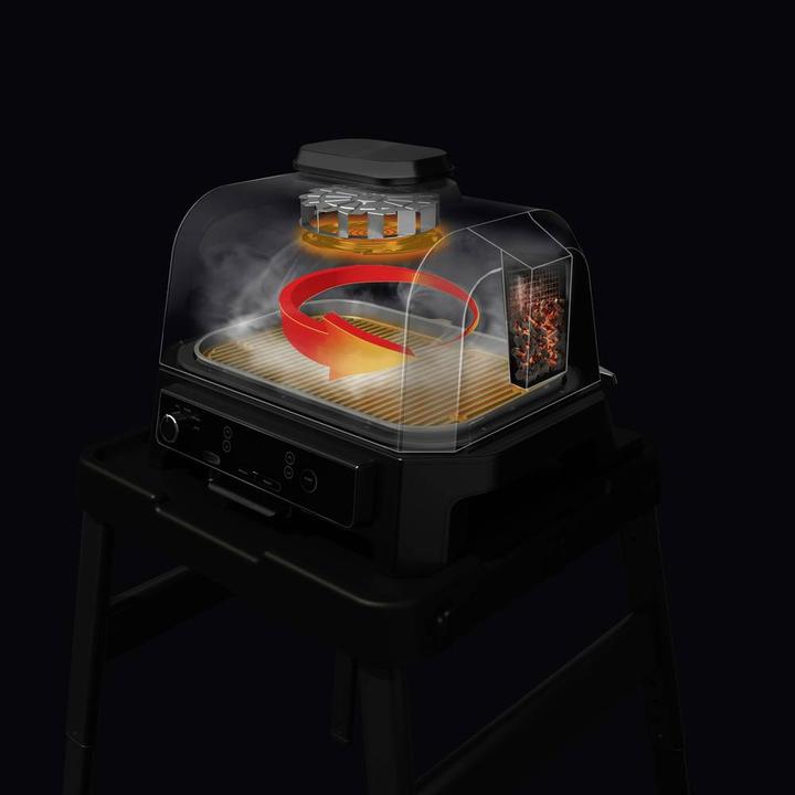 Actual product image Ninja OG850EU (1.70 kW)