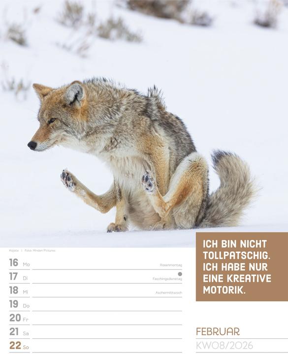Immagine prodotto Tierisch! Sprüchekalender - Wochenplaner Kalender 2026 (25 x 33 cm, Tedesco)