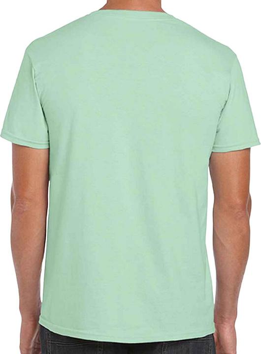 Actual product image Gildan Mens Short Sleeve Soft-Style T-Shirt (XL)