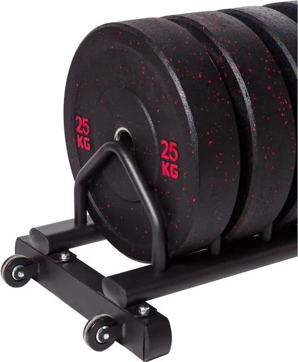 Actual product image Fitcom Disc stand bumper plates