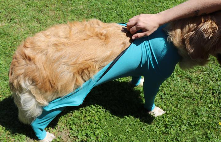 Produktbild Vetmedcare Hunde Body mit Beinen& Zipper (Hund)