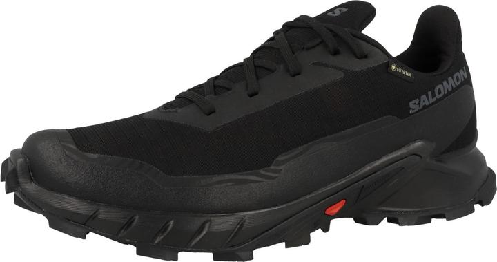 Actual product image Salomon Alphacross 5 GTX - 59879 (44 2/3)