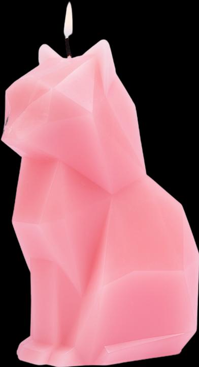 Immagine prodotto 54Celsius PyroPet Kisa (1 pz.)