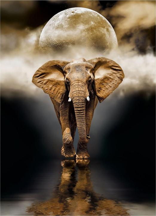 Actual product image Clementoni Elephant (1000 pieces)