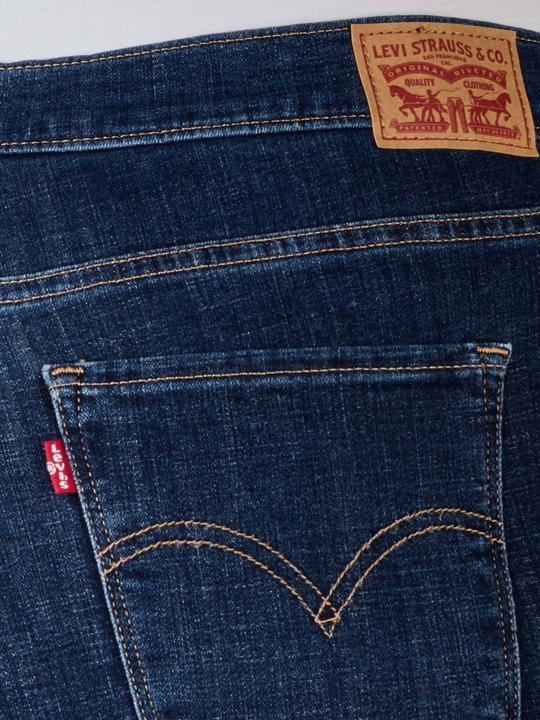 Image du produit Levis 10012552 (W42/L30)