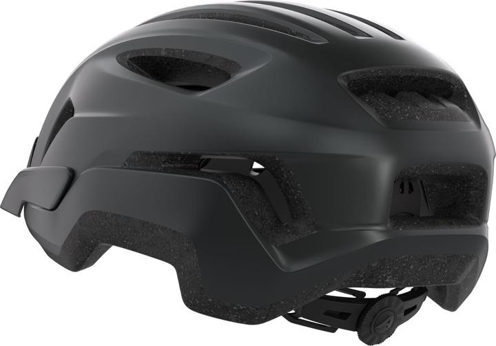 Image du produit ALPINA SPORTS Paranus (59 - 61 cm)