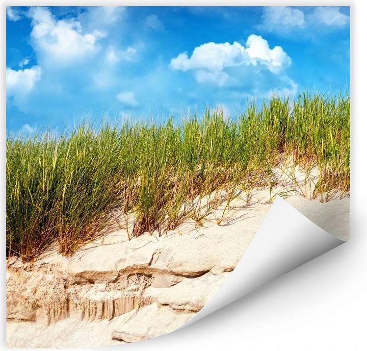 Image du produit Trenddeko Mer Baltique paysage de dunes (30 x 30 cm)
