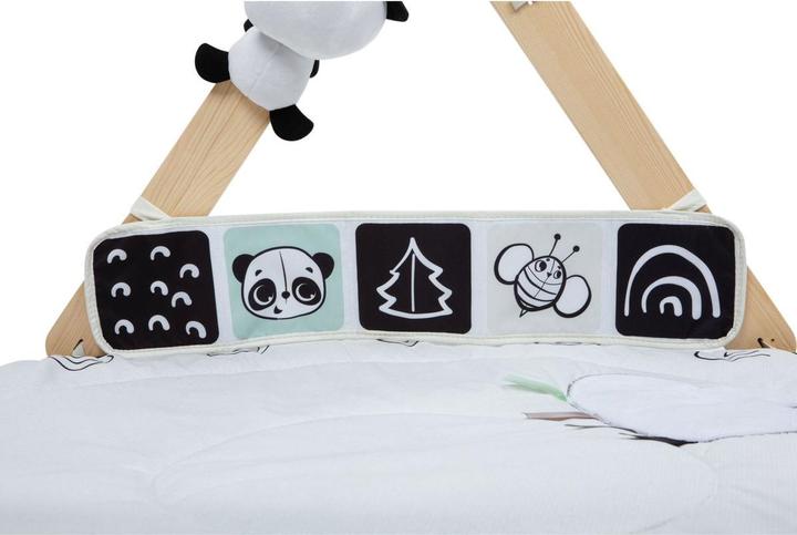 Actual product image Tiny Love Luxe Gymini