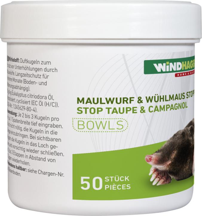 Produktbild Windhager Maulwurf-Vertreiber