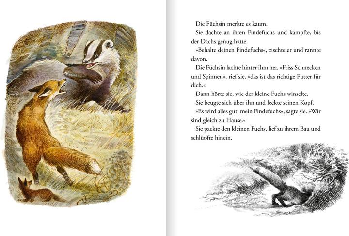 Produktbild Der Findefuchs (Deutsch, Irina Korschunow, 2021)