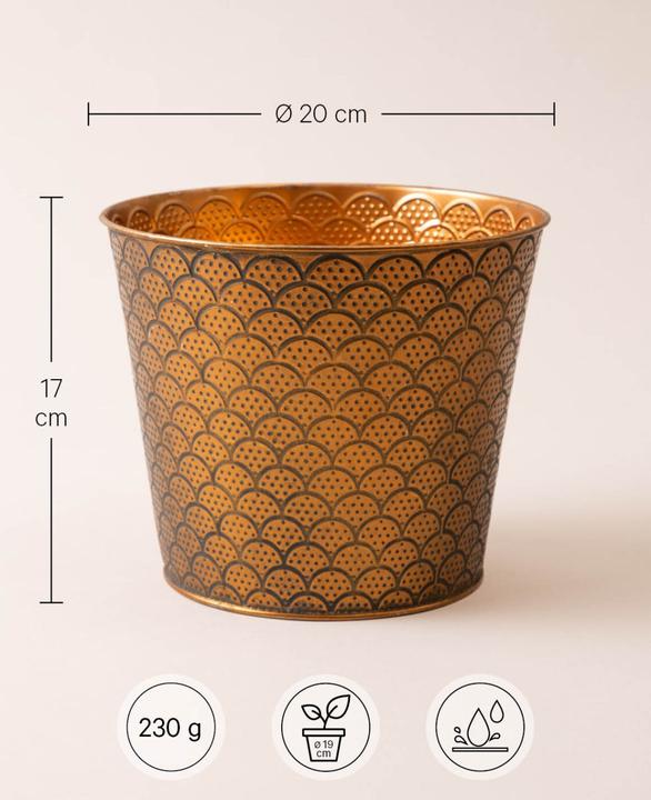 Image du produit Esmée Orient (20 cm)