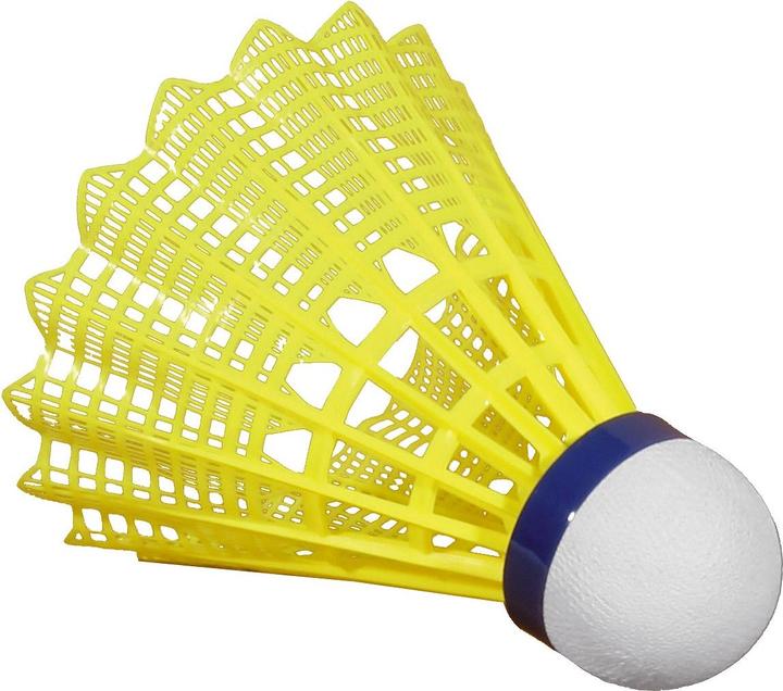 Image du produit Victor Volants de badminton Shuttle 1000
