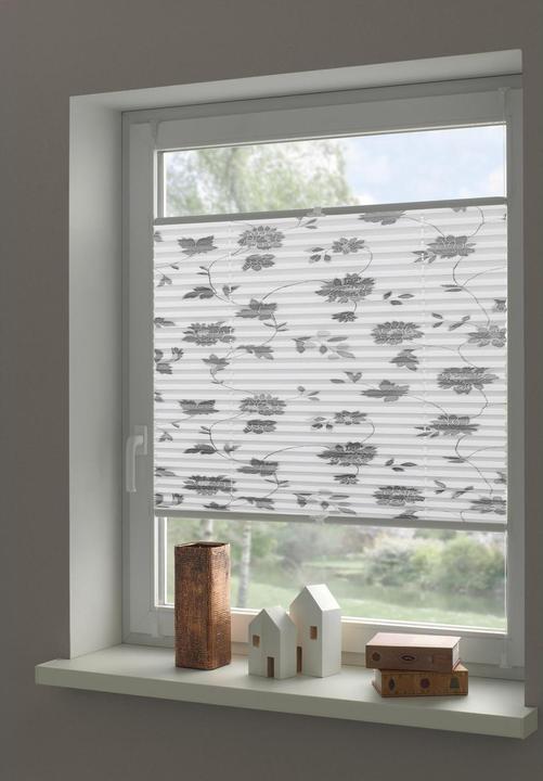 Immagine prodotto Gardinia Cieco plissettato Concetto per il bloccaggio di fiori e piante in fiore (70 x 130 cm)