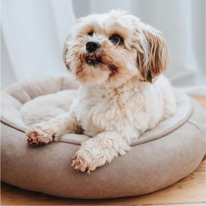 Immagine prodotto Hunter Ciambella per cani Rockford (Cane)