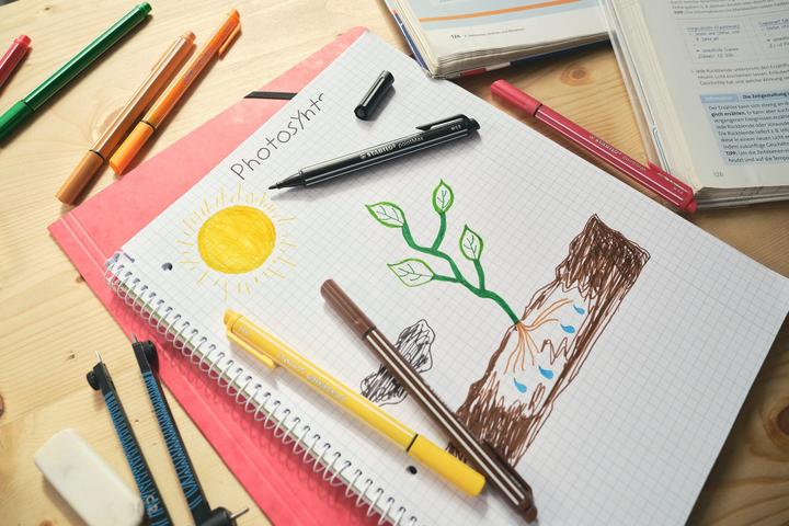 Actual product image STABILO PointMax (Brown, 1 x)