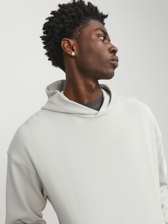 Image du produit Jack & Jones Sweat à capuche (XL)