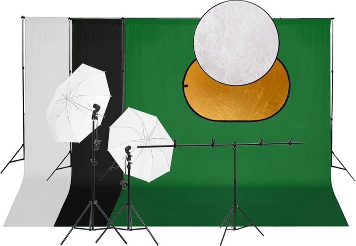 Image du produit VidaXL Remi (300 cm, 230 cm)
