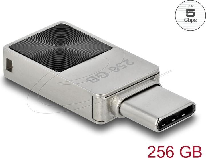 Produktbild Delock Mini (256 GB, USB-C)