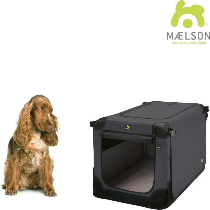 Actual product image Maelson Dog / transport box (Dog, Washable, Foldable)