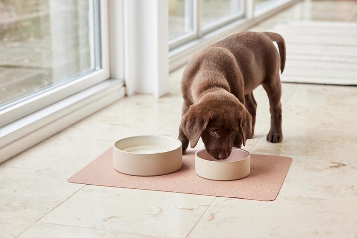 Produktbild Oyoy ZOO - Koko Dog Bowl Mat - Brown (Z60000)