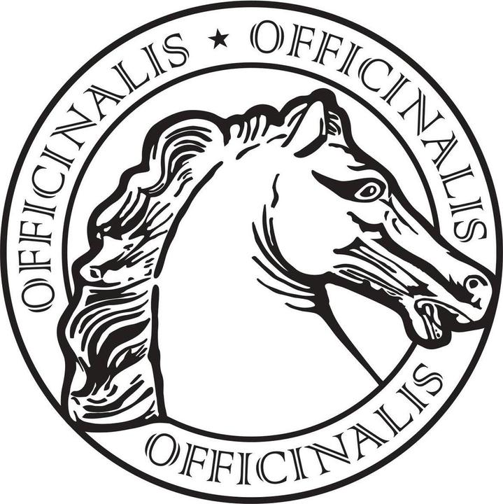 Image du produit Officinalis Dalla Grana Gel Officinalis Ice Menta 90% Bustina (1 x, 10 ml, 10 g)