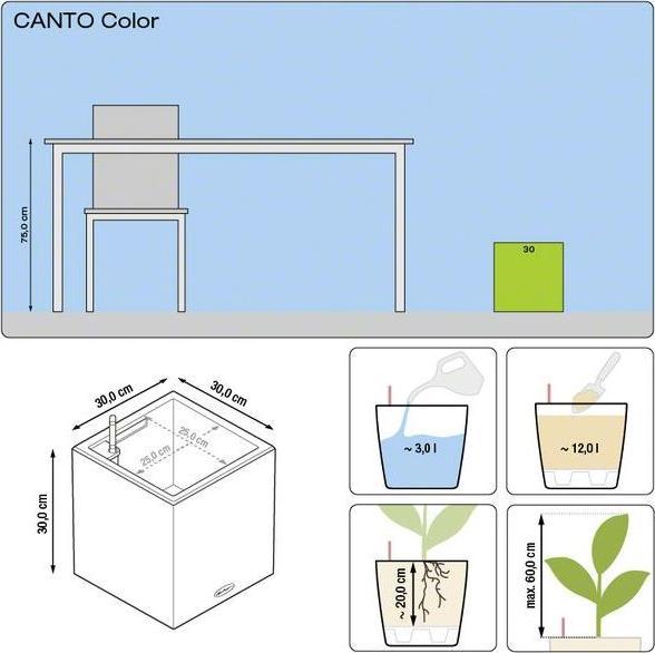 Produktbild Lechuza Canto (30 cm)