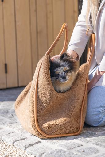 Actual product image Designed by Lotte Tebby (Dog, Foldable, Washable)