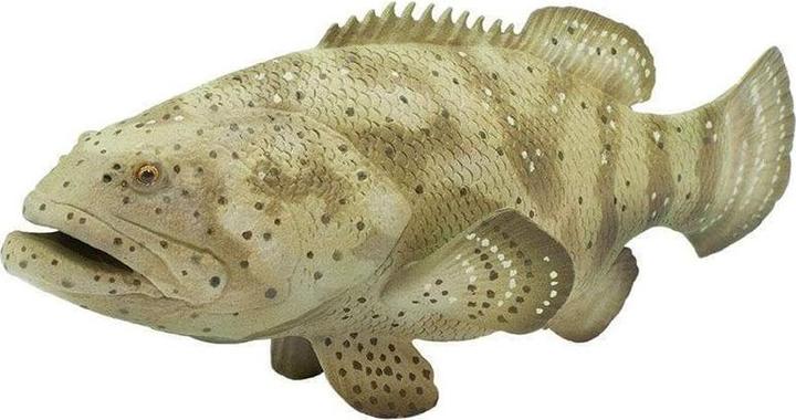 Produktbild Safari Goliath-Barsch