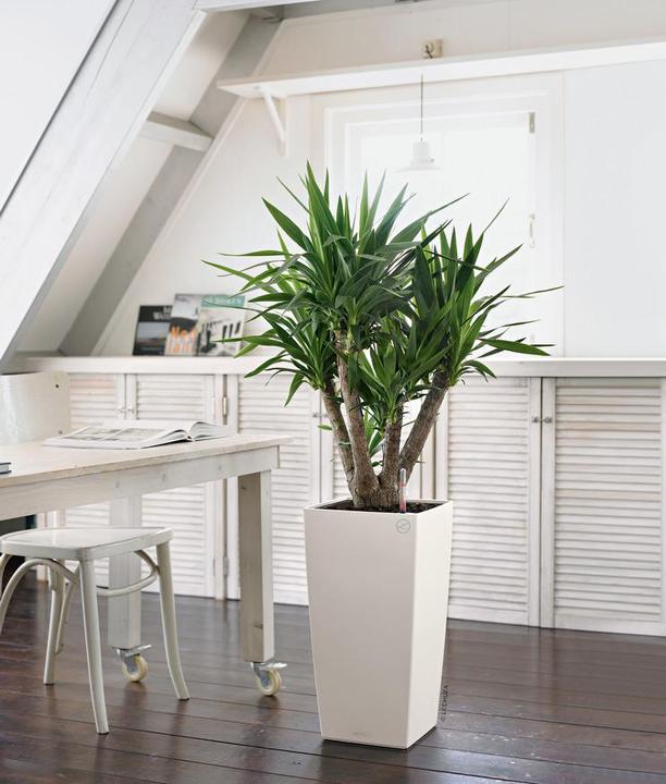 Produktbild Lechuza Cubico Color 30 (29.50 cm)