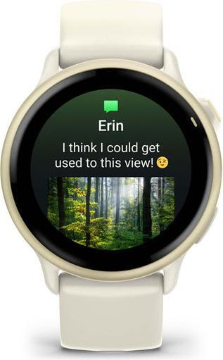 Actual product image Garmin vivoactive 6 (42.20 mm)