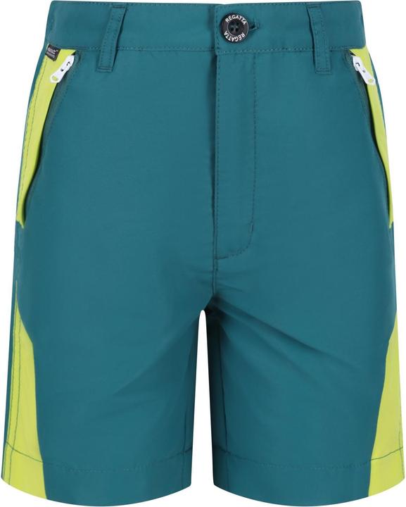Vert Pacifique, Vert kiwi