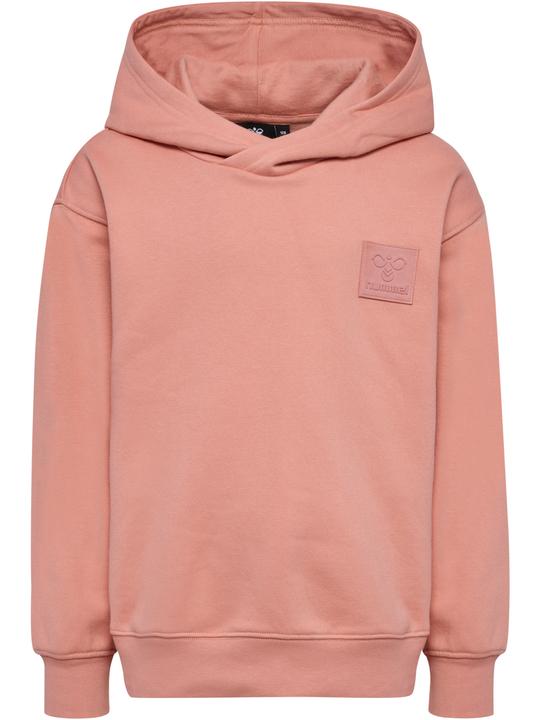 Image du produit hummel hmlCLEAN HOODIE (104)