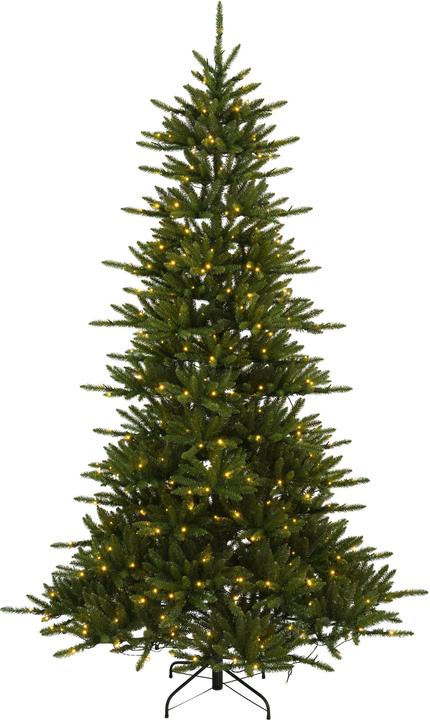 Nährwerte und Zutaten Star Trading Weihnachtsbaum LED Minnesota (250 cm)