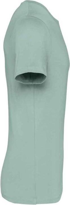 Actual product image Native Spirit Unisex Adult Heavyweight Slim T-Shirt (XXS)