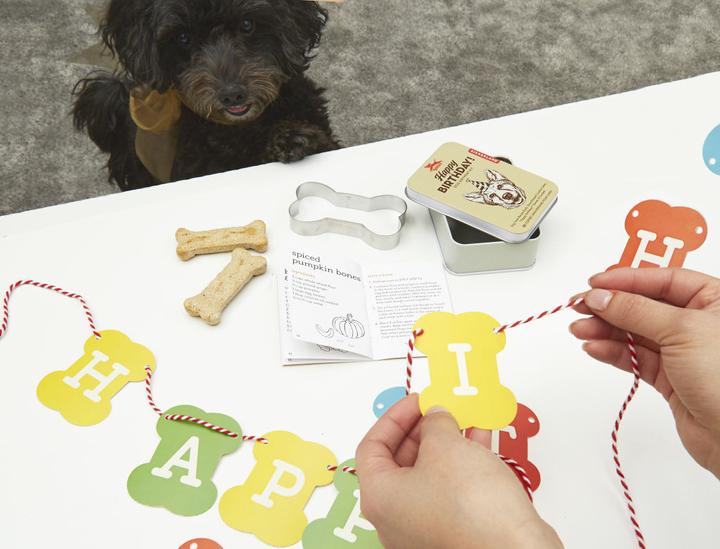 Actual product image Kikkerland Dog Happy Birthday Kit