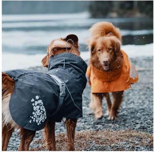 Produktbild Hurtta Monsoon Coat bilberry (35, Hundemantel)