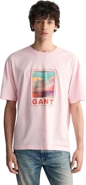 Produktbild GANT t-hirt wahed graphic (S)