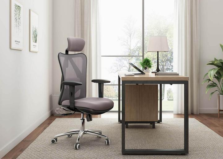 Actual product image Sihoo Office chair with lumbar support