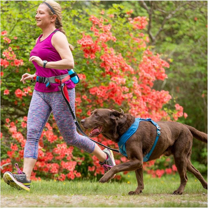 Produktbild Kurgo K9 Laufgürtel für Ausflüge (68, 80, 85, 90, 95, 100, 104, 105, 110, Hund, Hundesport)